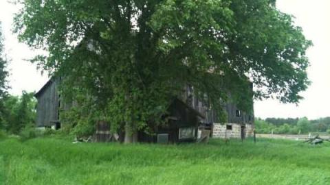 Farm House - Old-Farm60.jpg