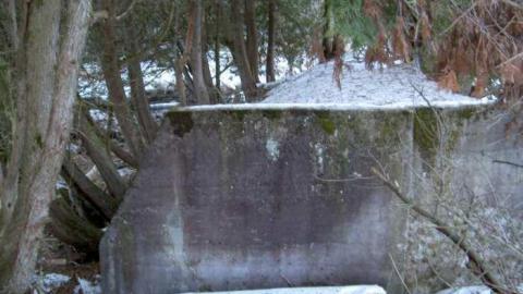 Clarke+Darlington= Clarington - Claringtons-Lost-Communities44.jpg