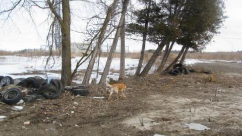 Gallery - Bradford-Boarded-Up!29.jpg