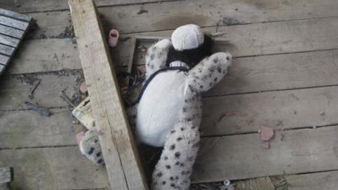 Gallery - Bradford-Boarded-Up!31.jpg