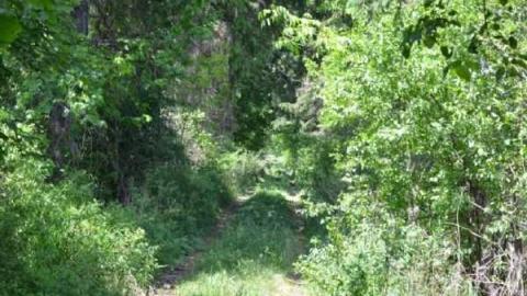 May 24, 2012 - Jeremiahs-Field149.jpg