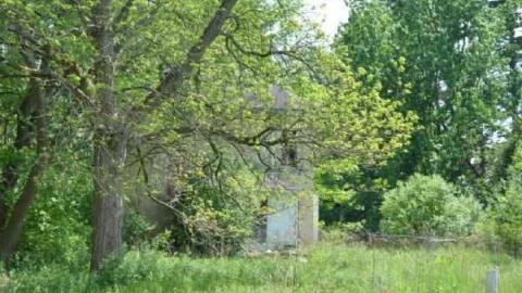 May 24, 2012 - Jeremiahs-Field154.jpg