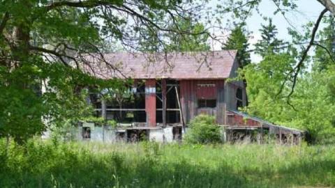 Photo from May 24, 2012