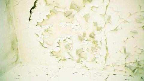 Photo from May 31, 2012 Jer. Field