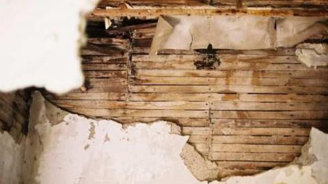 May 31, 2012 Jer. Field - Jeremiahs-Field135.jpg