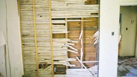 Photo from May 31, 2012 Jer. Field