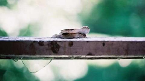 May 31, 2012 Jer. Field - Jeremiahs-Field138.jpg