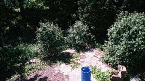 May 31, 2012 Jer. Field - Jeremiahs-Field121.jpg