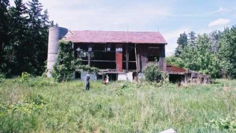 May 31, 2012 Jer. Field - Jeremiahs-Field122.jpg