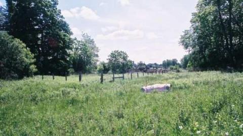 May 31, 2012 Jer. Field - Jeremiahs-Field140.jpg