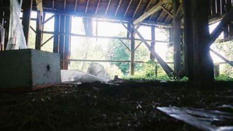 May 31, 2012 Jer. Field - Jeremiahs-Field123.jpg