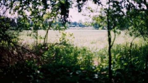 May 31, 2012 Jer. Field - Jeremiahs-Field142.jpg