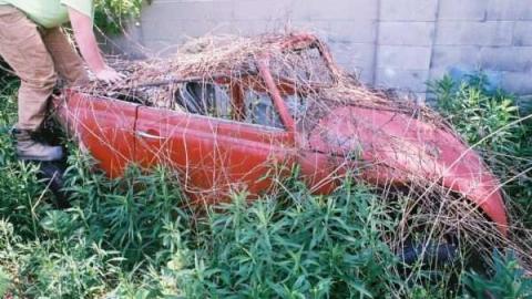 May 2012 - F1010010.jpg