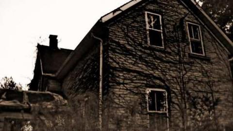 Three lots 5/12 - Fenceaholic5.jpg