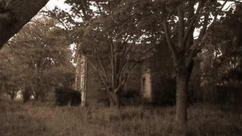 Three lots 5/12 - Fenceaholic3.jpg