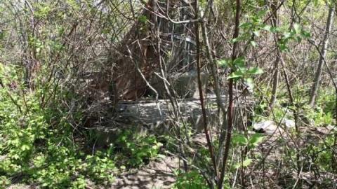 Arsenal Lands May 2012 - Long-Branch-Arsenal-Lands75.jpg