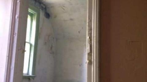 June 3, 2012 - IMG_1235.jpg