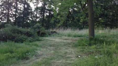 Photo from June 3, 2012