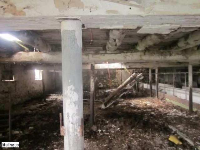 Old Stoners Die Hard photo 3