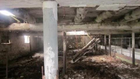 Old Stoners Die Hard photo 3