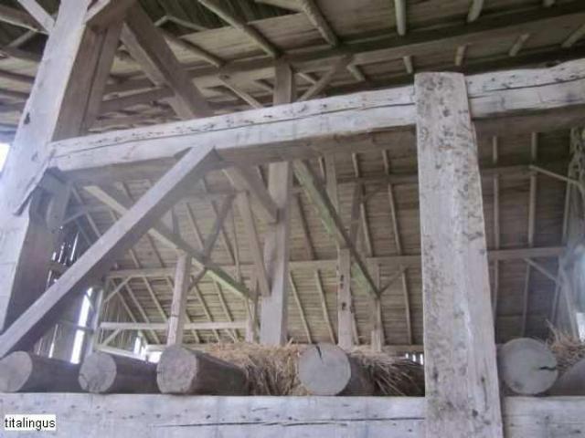 Old Stoners Die Hard photo 4