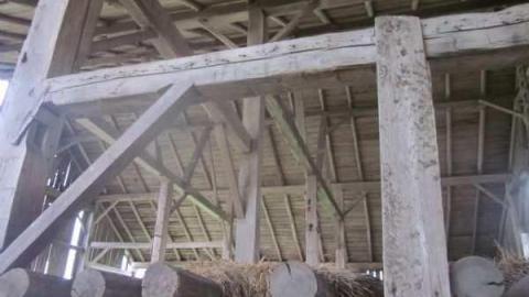 Old Stoners Die Hard photo 4