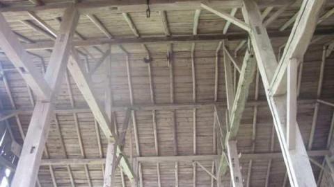 Old Stoners Die Hard photo 5