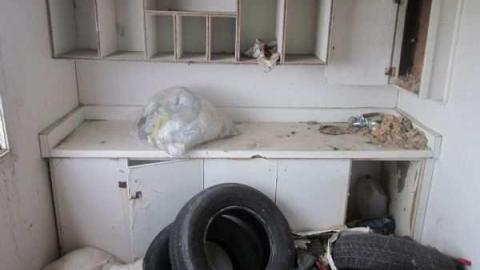 raccoon - IMG_4710.jpg