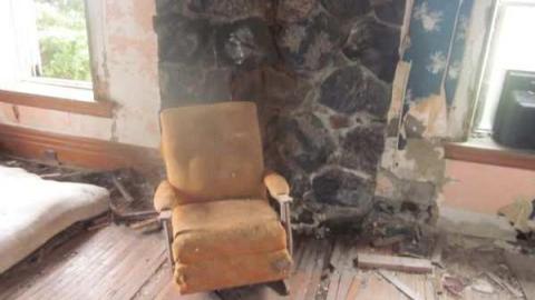 raccoon - IMG_4712.jpg