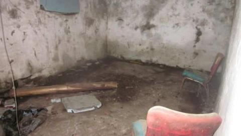 raccoon - IMG_4715.jpg