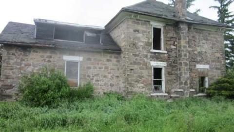 raccoon - IMG_4718.jpg