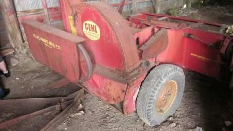 raccoon - IMG_4719.jpg