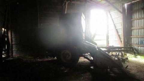 raccoon - IMG_4720.jpg