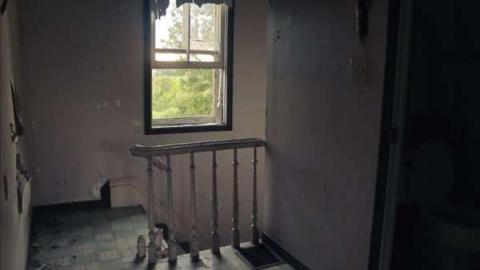 Barn Mice - Old-and-Good63.jpg