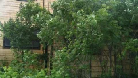 Lost - Yellow-House31.jpg