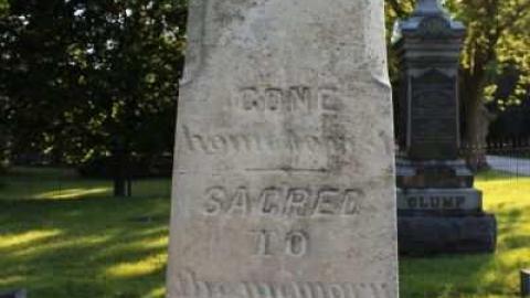 Gated Community - Lenington-Pioneer-Cemetery16.jpg