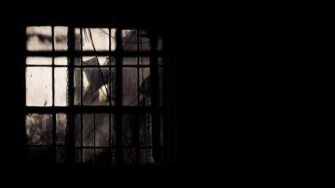 Photo from Workshop Windows