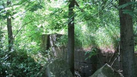 Neptunes Staircase photo 3