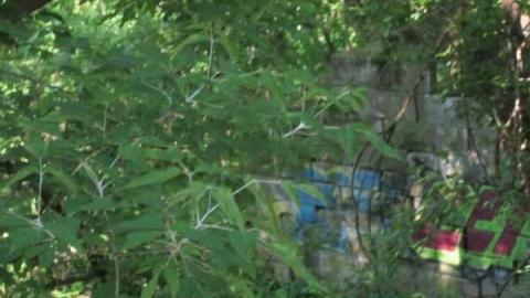 Neptunes Staircase photo 2