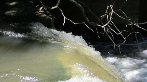 First and Second Welland Canal - Neptunes-Staircase3.jpg