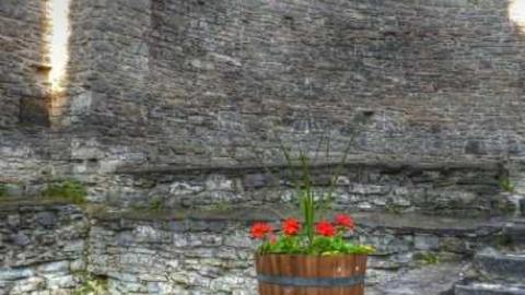 St. Raph's Ruins - St.-Raphaels97.jpg