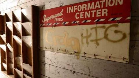 Thamesford Mill photo 3