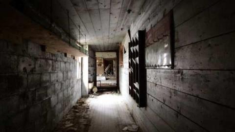 Thamesford Mill photo 4