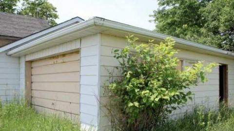 June 2012 - P6151582.jpg