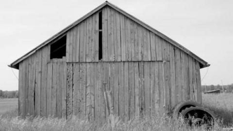 June 2012 - P6141419.jpg