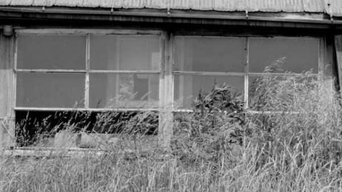 June 2012 - P6141454.jpg