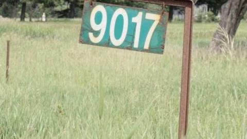 June 2012 - P6141462.jpg