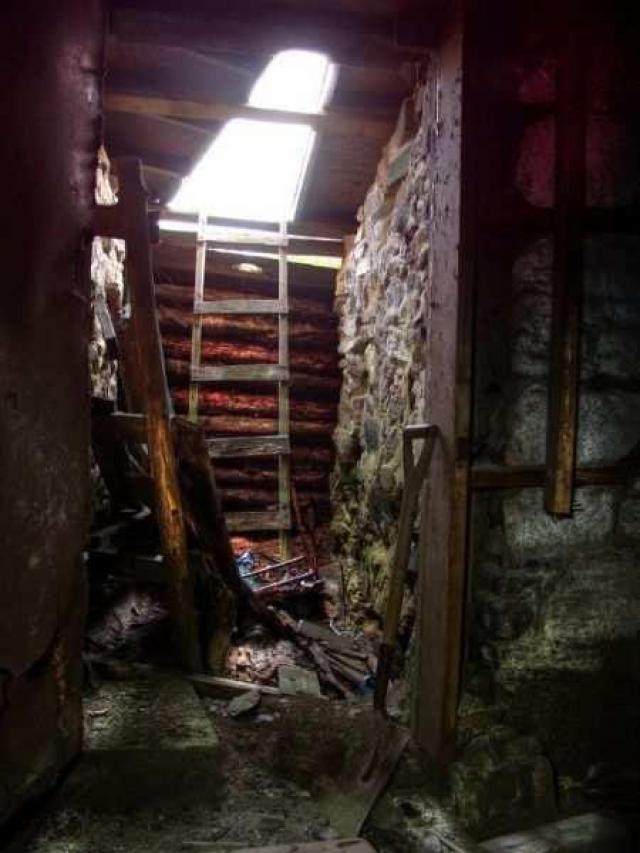 Dodge Responsibility - 2a.jpg