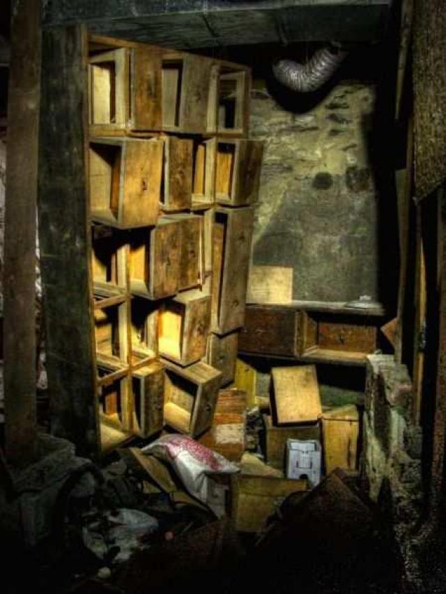 Dodge Responsibility - 2b.jpg