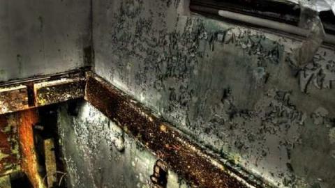 Dodge Responsibility - 3c.jpg